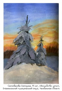 Самохвалова Екатерина, 14 лет, «Волшебство зимы»